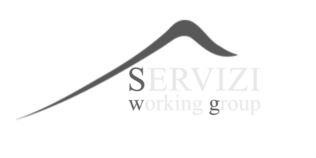 servizi working group